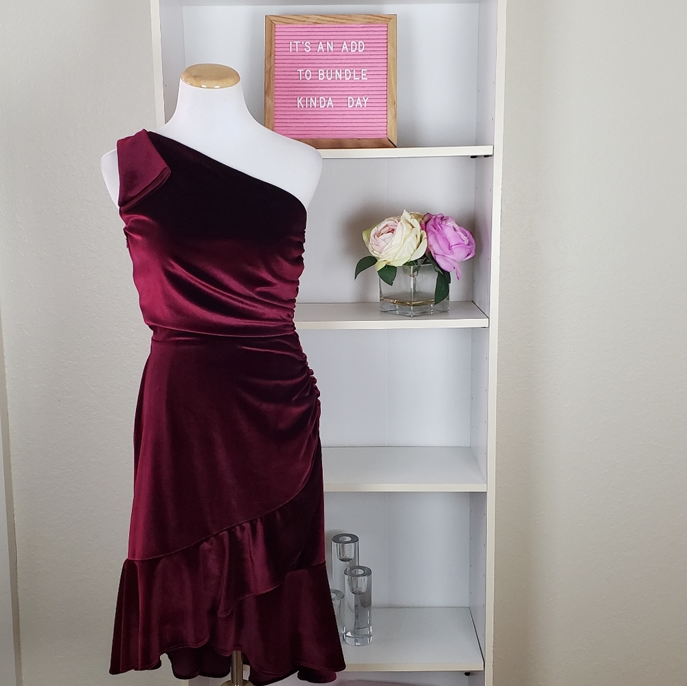 Rushed One Shoulder Ruffle Velvet Dress SZM NWT